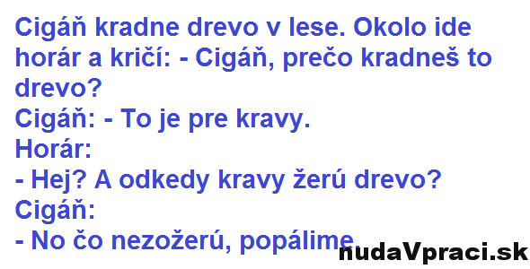 Cigáň kradne drevo v lese