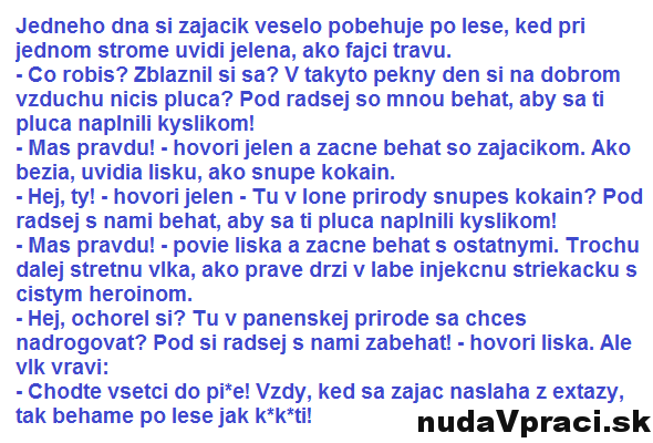 Drogy a zvieratká v lese