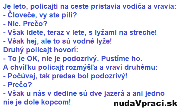 Policajti a ich cestná kontrola