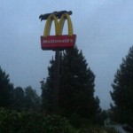 McDonald planking